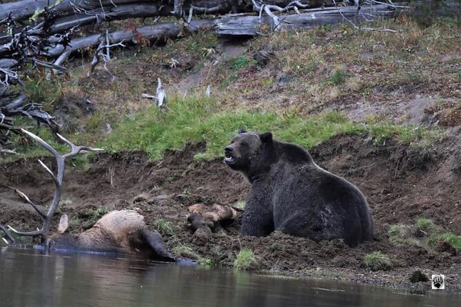 The Full Two Day Private Yellowstone Day Trips West Yellowstone - Frequently Asked Questions