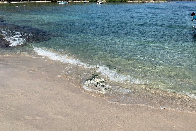 The Gatas Kayaking and Snorkeling Tour - Health and Safety Guidelines