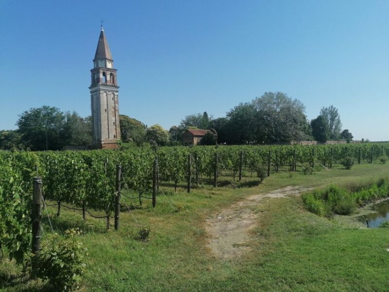 The Gems of the Lagoon. Torcello Burano Murano - The Journey: Traveling via Vaporetto