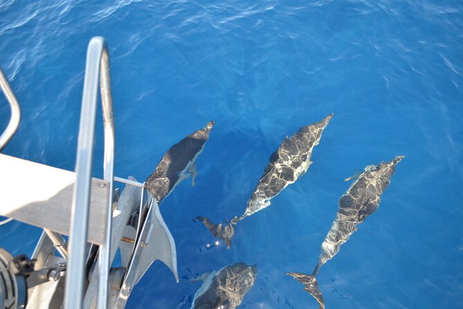 The Giants Cliffs Small-Group Sail Tour With Lunch - Onboard Lunch Experience