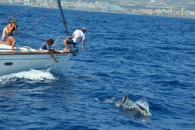 The Giants Cliffs Small-Group Sail Tour With Lunch - Highlights and Reviews