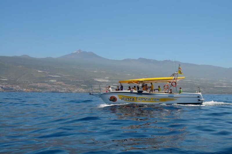 The Giants: Dolphin & Whale Watching Cruise With Swim Stop - Itinerary and Activities