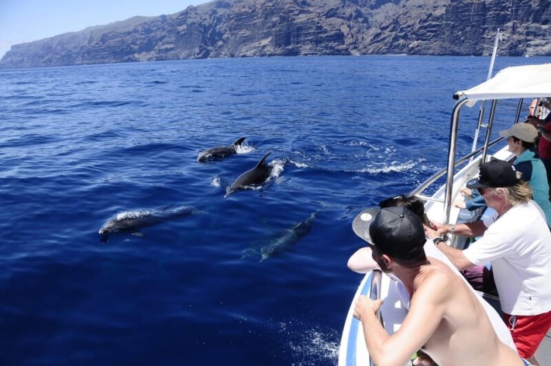 The Giants: Whale-Watching Cruise or Dolphin Watching Tour and Swim in Masca - Key Points