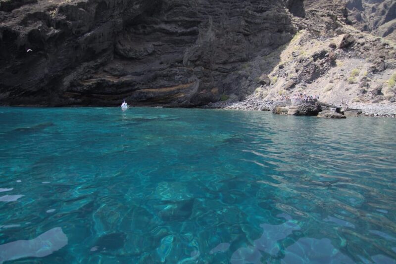The Giants: Whale-Watching Cruise or Dolphin Watching Tour and Swim in Masca - Customer Feedback