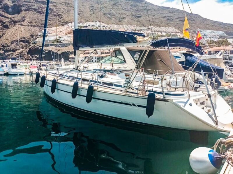 The Giants: Whales and Dolphin Watching Cruise With Lunch - Onboard Amenities