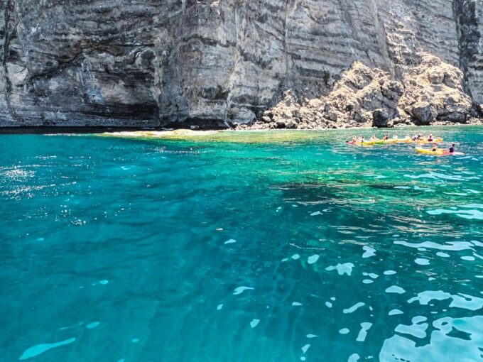The Giants: Whales and Dolphin Watching Cruise With Lunch - Tour Duration and Language