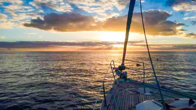 The Giants: Whales and Dolphin Watching Cruise With Lunch - Accessibility and Group Size