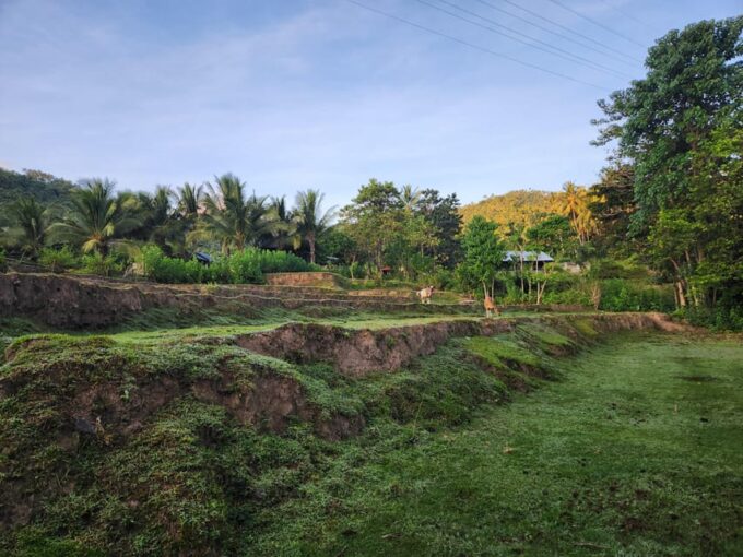 The Gili Mushroom Tours - Unique Features of the Tour