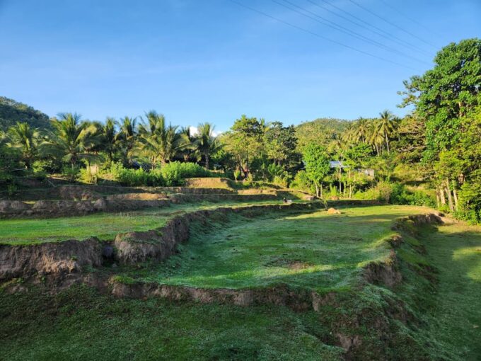The Gili Mushroom Tours - Important Information and Restrictions