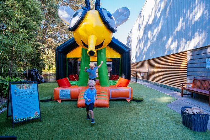 The Ginger Factory - Play All Day Bundle Unlimited Rides - River Cruise With Gingerbread Man