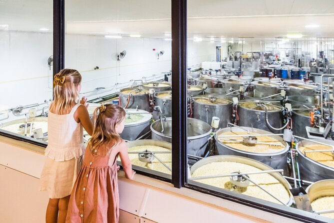The Ginger Factory Play, Taste & Discover Bundle Experience - Activities and Inclusions