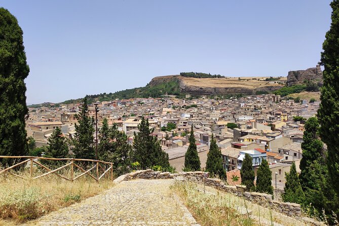 The Godfather Origins of Mafia: Corleone & Visit Monreale Duomo - Transportation and Logistics