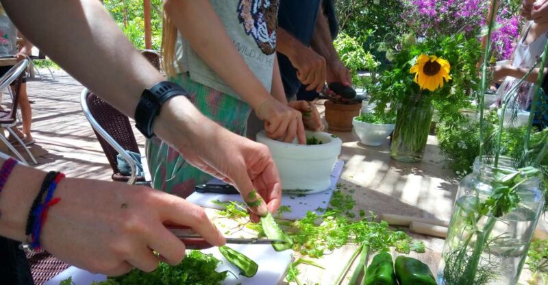 The Gomera Rural Life Experience: Mojo Workshop - Key Points