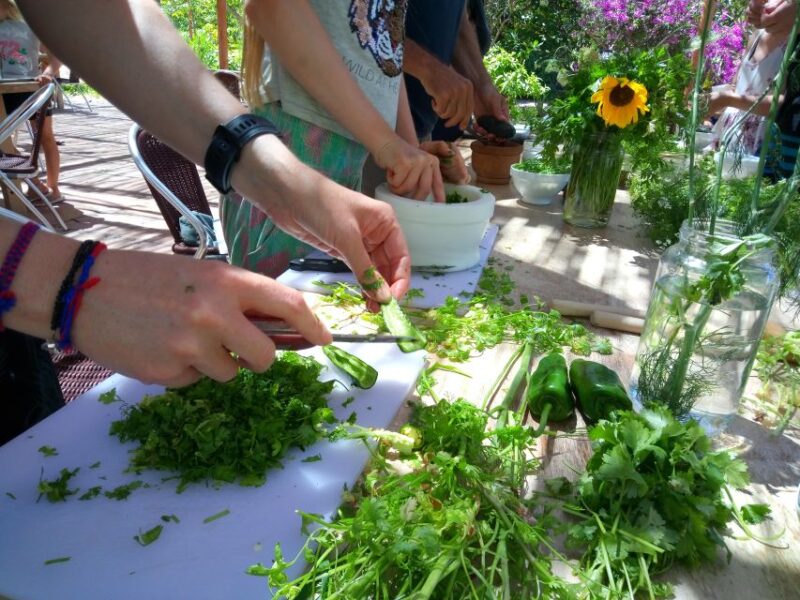 The Gomera Rural Life Experience: Mojo Workshop - Itinerary Details
