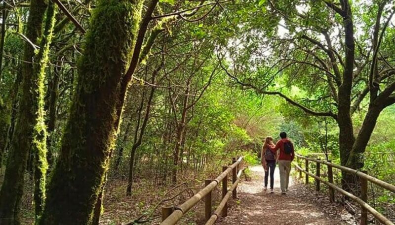 The Gomera VIP Experience - Included Services