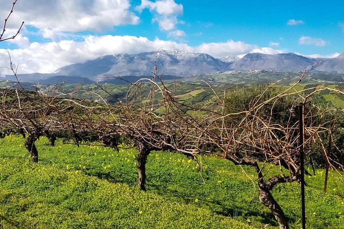 The Gourmet Wine Tour of Heraklion Area - Exceptional Customer Reviews