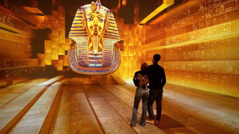 The Grand Egyptian Museum Private Guided Tour - Inclusions