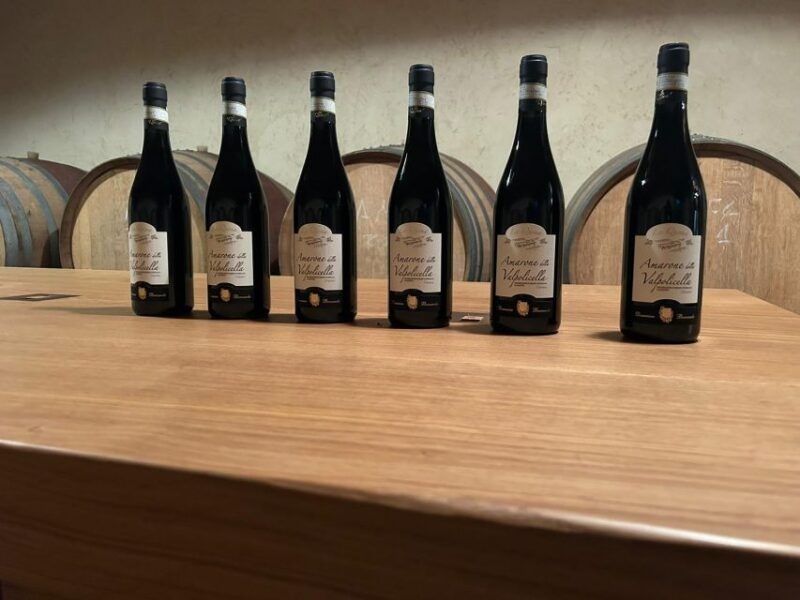 The Grand Tour of Amarone: 2 Wineries With Delicious Lunch - Experience Highlights