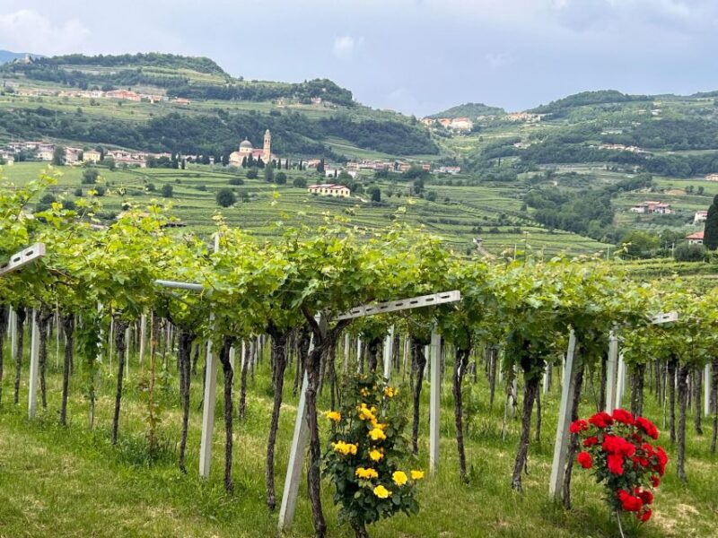 The Grand Tour of Amarone: 2 Wineries With Delicious Lunch - Meeting Point and Language Options