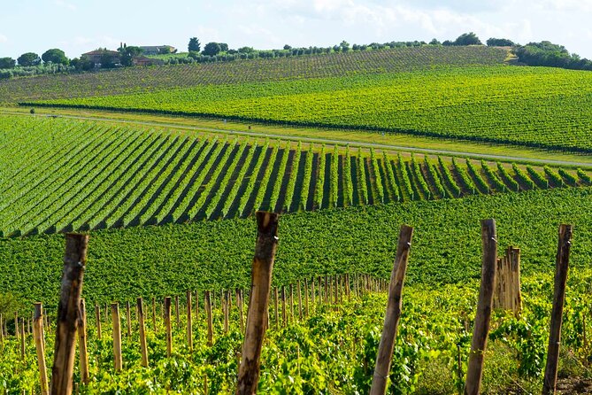 The Grand Wine Tour With Sommelier – 2 Wineries With Chianti & Supertuscan - Tuscan Lunch Experience