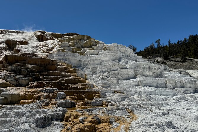 The Grand Yellowstone 3 Day Private Experience From Cody Wyoming - Pricing and Value of the Grand Yellowstone Tour