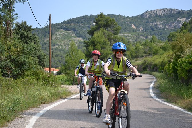 The Grape Escape! Cycling in Beautiful Scenery With Wine Tasting - Visiting the Family-Run Vineyard