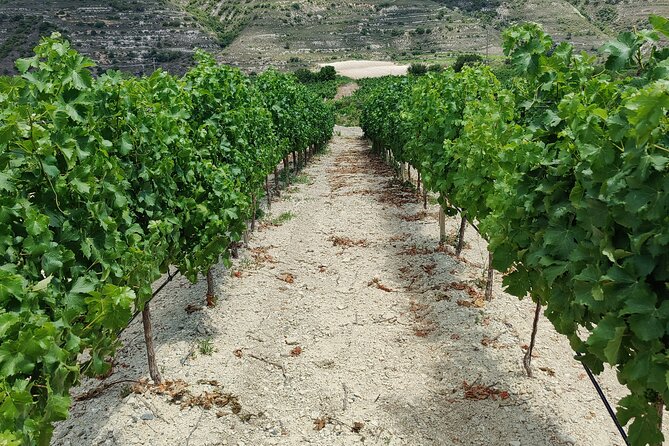 The Grape Escape: Troodos Mountains Thru Wine Small Group Tour 6hrs - Additional Details