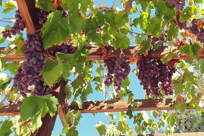 The Grape Escape: Troodos Mountains Thru Wine Small Group Tour 7hrs - Itinerary Overview