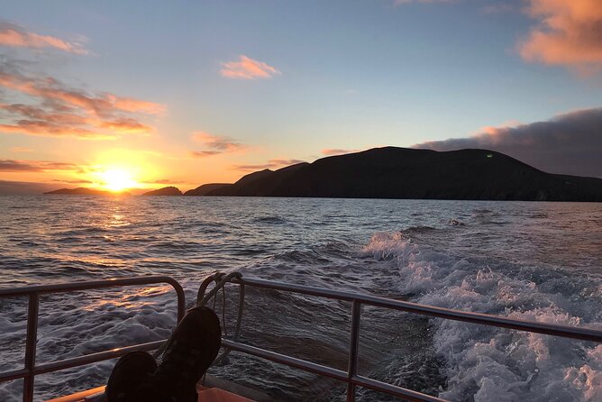 The Great Blasket Island Experience - Island Arrival and Accessibility