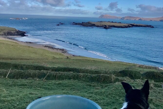 The Great Blasket Island Experience - Duration and Group Size