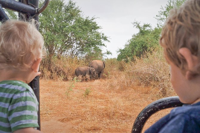 The Great Elephant Gathering Private Safari From Minneriya - Spot Diverse Wildlife in Minneriya