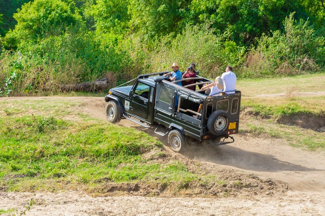 The Great Elephant Gathering Private Safari From Minneriya - Explore Minneriyas Historical Significance