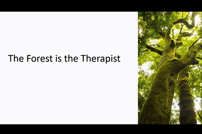 The Great Forest Immersion Tour in Canada - Participant Information
