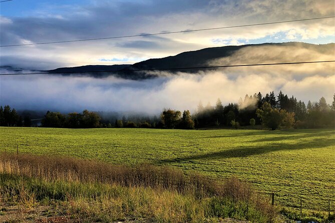 The Great Forest Immersion Tour in Canada - Virtual Participation