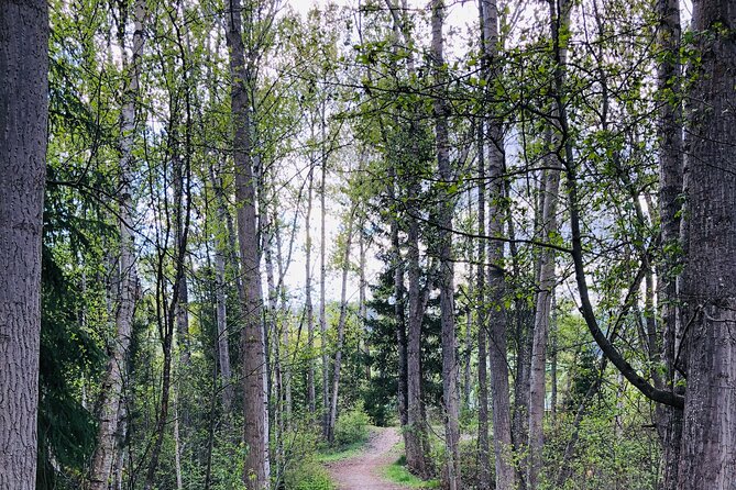 The Great Forest Immersion Tour in Canada - Getting There