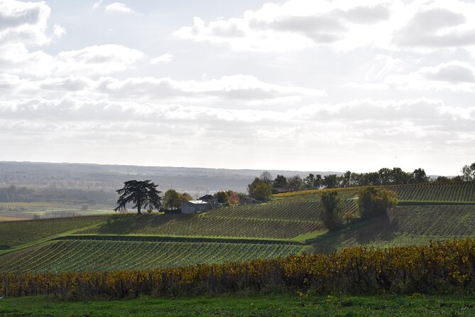 The Great Sauternes Wine Tour - Exploring Sauternes Castles