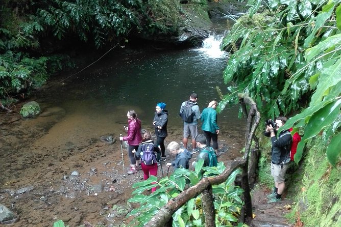 The Great Waterfalls Hiking Tour - Guided Nature Experience