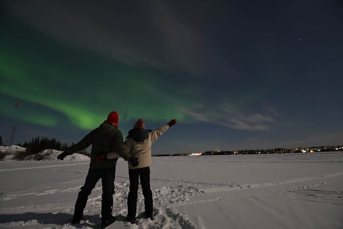 The Greatest Valuable Aurora Manor & Hunting Tour --Exclusive Tour Operator - Guest Reviews