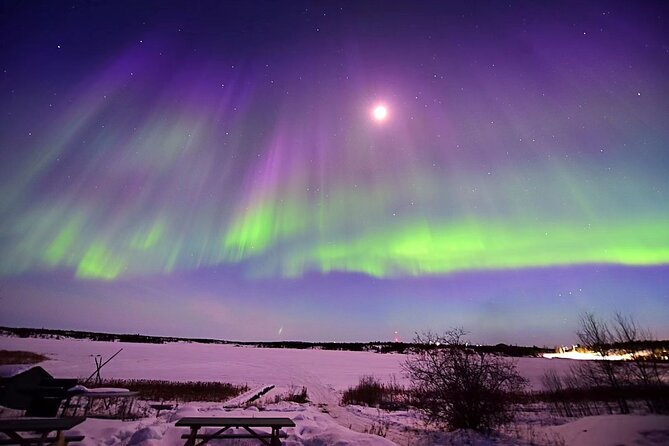 The Greatest Valuable Aurora Manor & Hunting Tour --Exclusive Tour Operator - About the Tour Operator