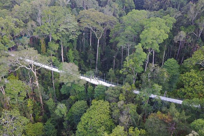 The Habitat at Penang Hill Admission Ticket - Attractions and Experiences