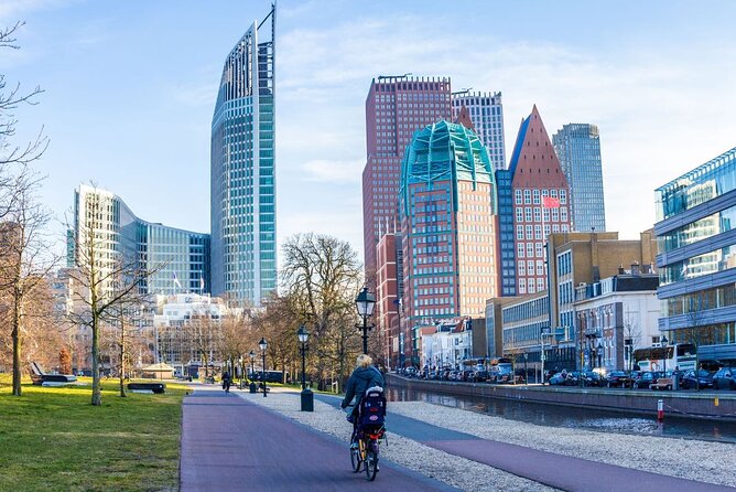 The Hague and Rotterdam Shore Excursion, Private Tour - Accessibility