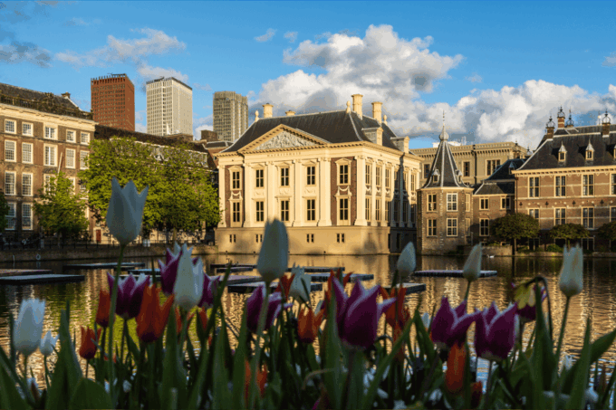 The Hague: App Guided Tour With Puzzles - Recommendations for Visitors