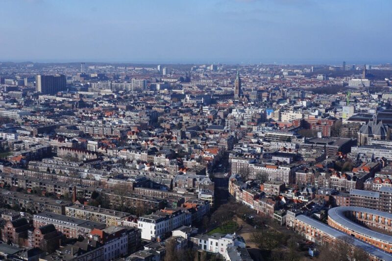 The Hague Christmas Market Tour - Market Experience