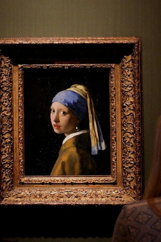 The Hague: Guided Tour Mauritshuis and City + Quiz - Key Points