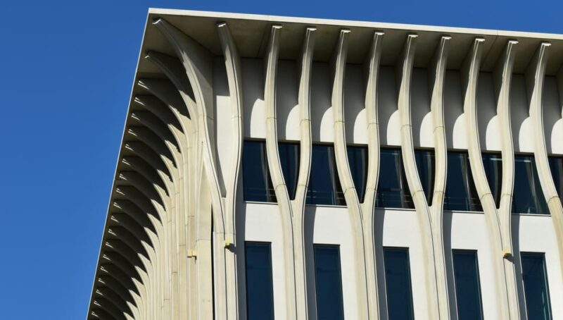 The Hague: Highlights Walking Tour - Experience and Itinerary