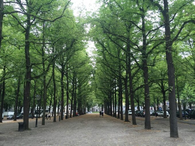 The Hague: Highlights Walking Tour - Language and Duration
