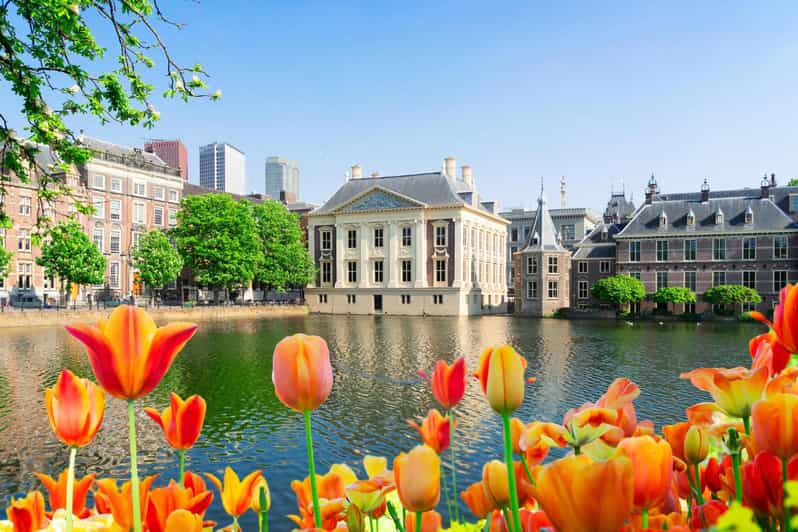 The Hague: Insta-Perfect Walk With a Local - Highlights of the Experience