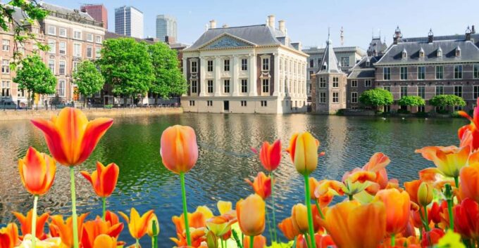 The Hague: Insta-Perfect Walk With a Local - Tour Meeting Point