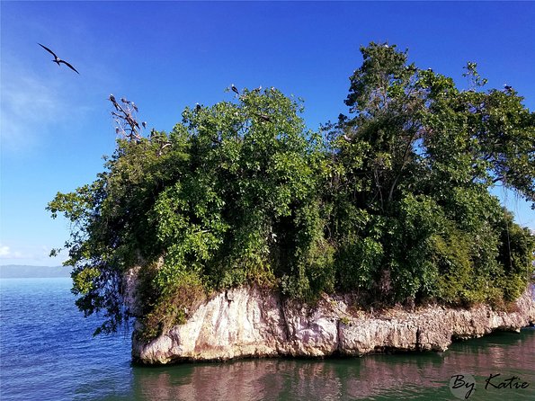 The Haitises Plus Bacardi Island for Samana Cruise Ship Travelers - Exploring the Haitises