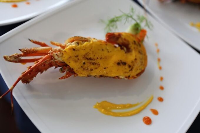 The Halong Catamaran Premium Cruise - Full Day Cruise Trip - Sunset Ceremony and Disembarkation